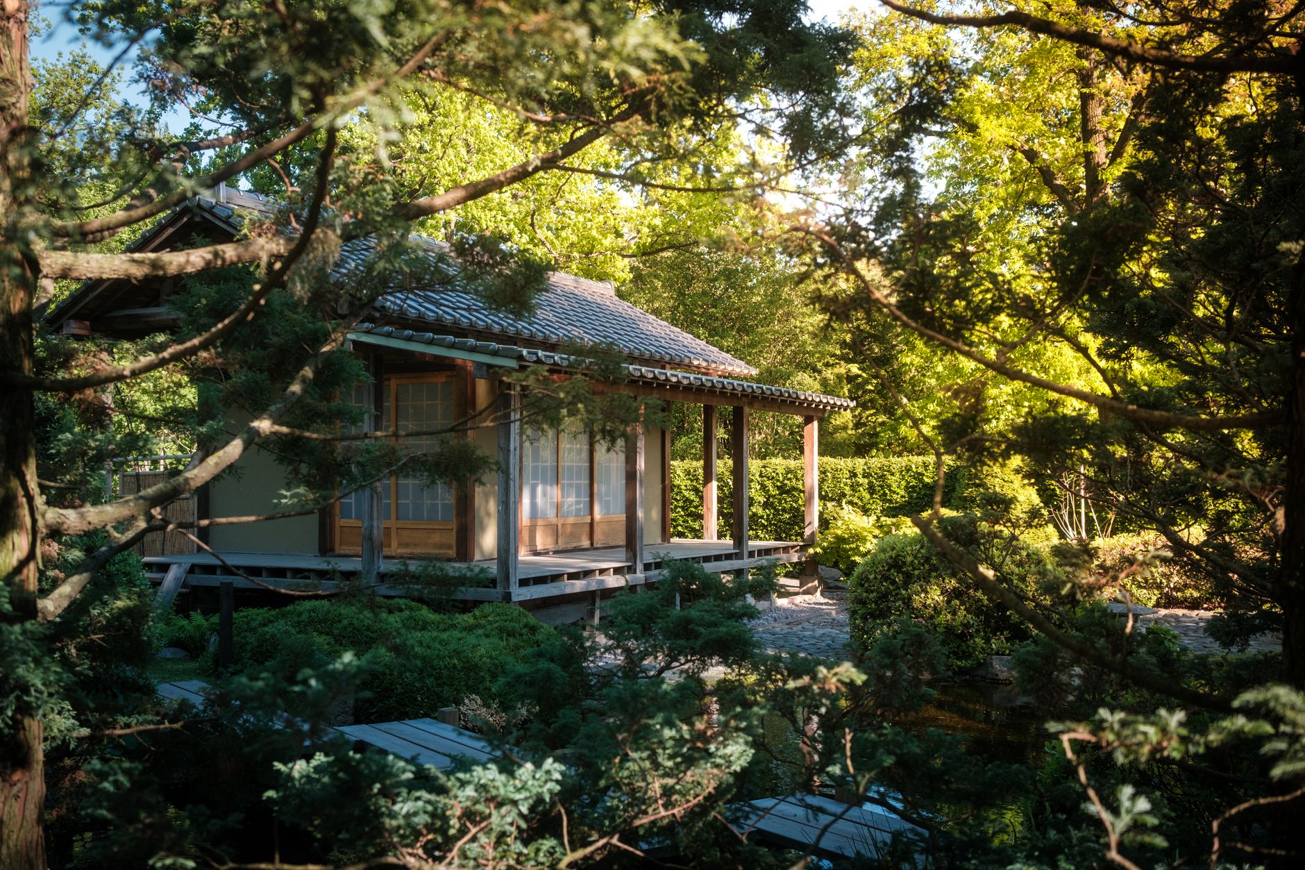 Traditional Japanese wooden tea pavilion
