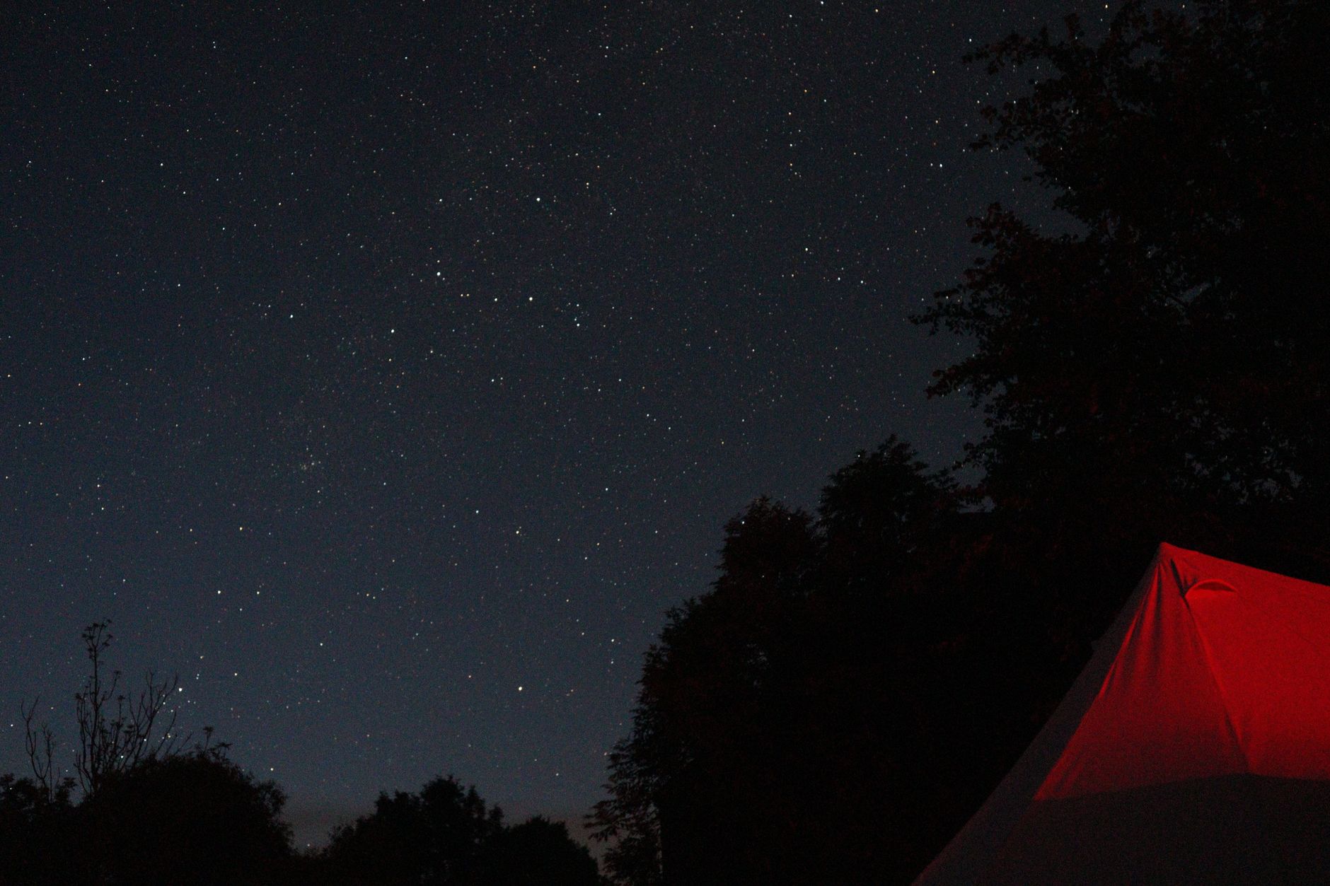 Luxury wilderness camp under starlit night